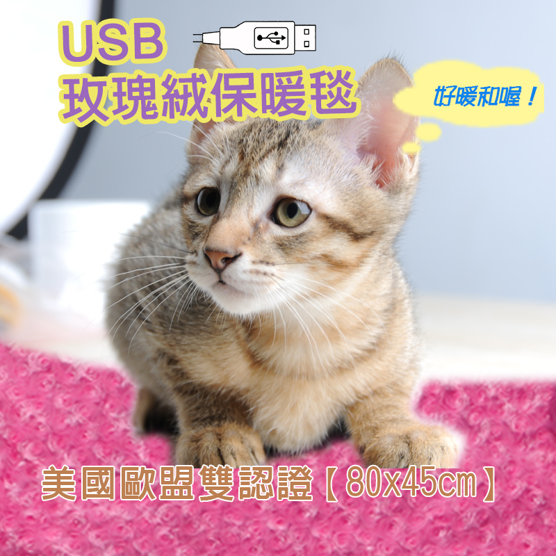USB遠紅外線保暖毯 USB保暖毯 碳素纖維 披肩 日本暢銷品 睡眠達人